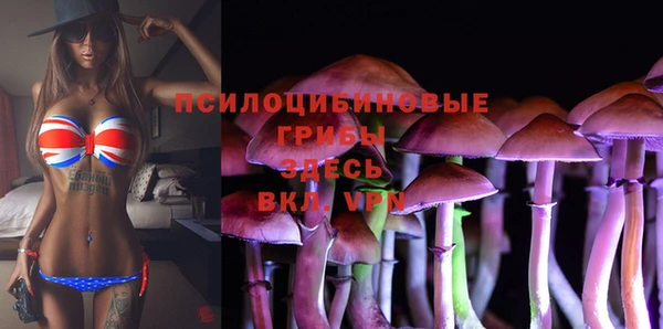 таблы Козловка