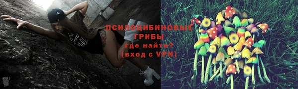 мяу мяу мука Кодинск